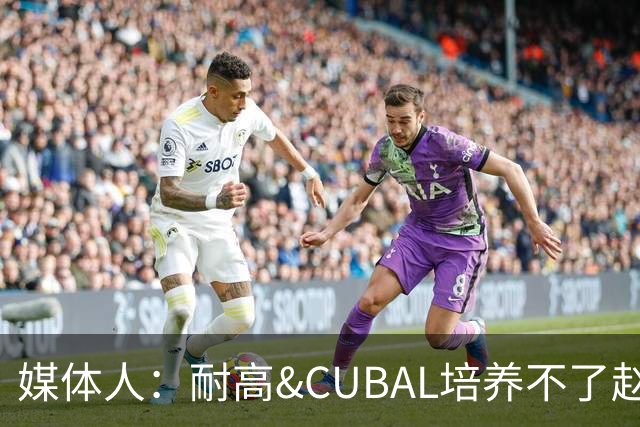 媒体人：耐高&CUBAL培养不了赵博新&张宇辰这些好苗子 赶紧送出国