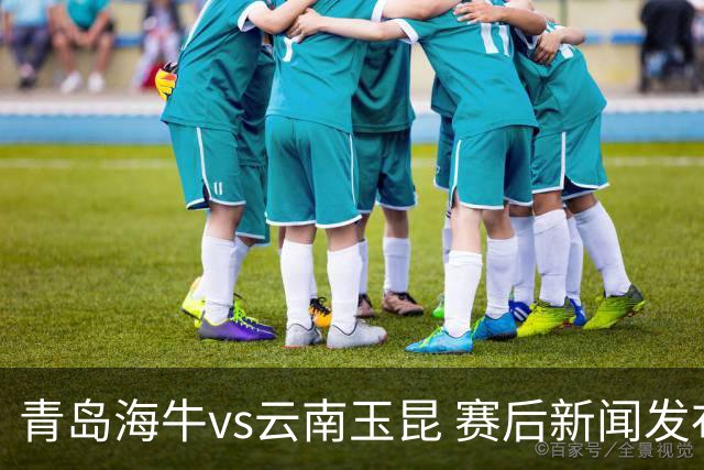 青岛海牛vs云南玉昆 赛后新闻发布会